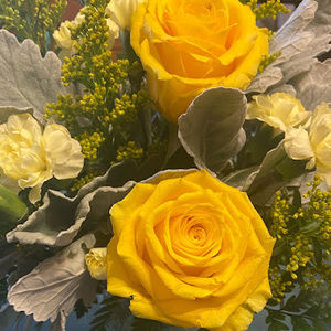 Meet your Posher, Adrianna